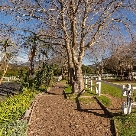 Novelle Vista Cottage Hout Bay Exterior foto